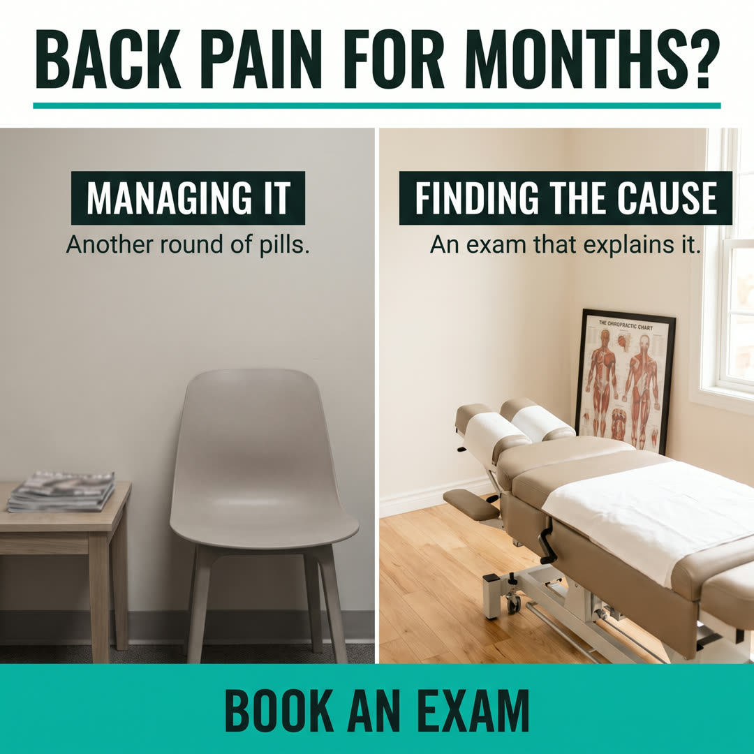 Sample ad for Northgate Spine & Disc